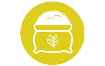 Analítica de Granos